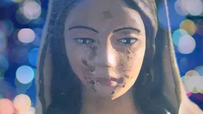 Italy 'Blood Tears of Our Lady' coincides with the blood of a pig