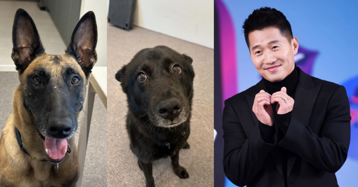 Trainer Kang Hyung-wook returns to his daily life with his dog and resumes his SNS activities