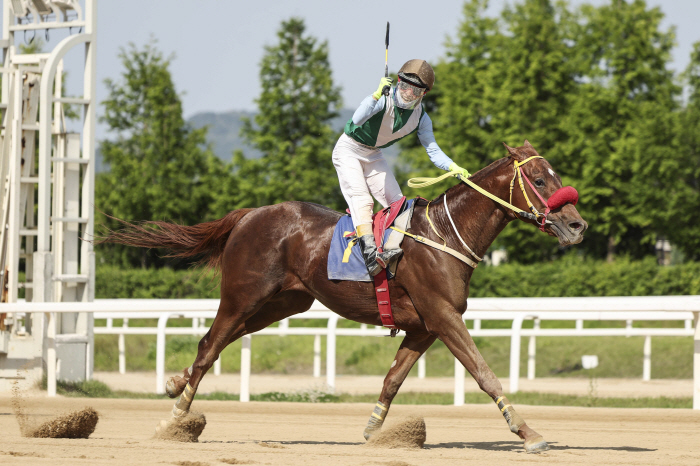  Grade 1 2000m race to leap to the top of the Seoul race