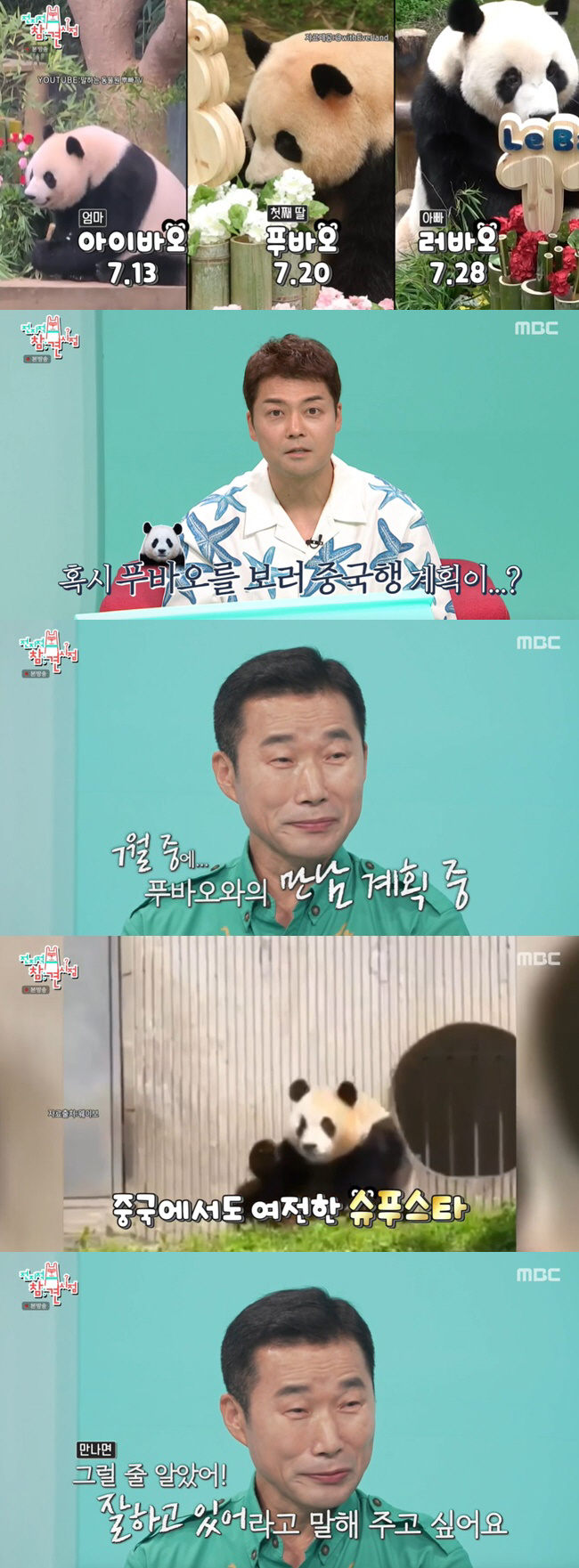 Fu Bao X Steel Garden Zoo Zookeeper Reunited 'Seo Superstar...'Encouraging him that he's doing well' ('Omniscient Interfering View') 