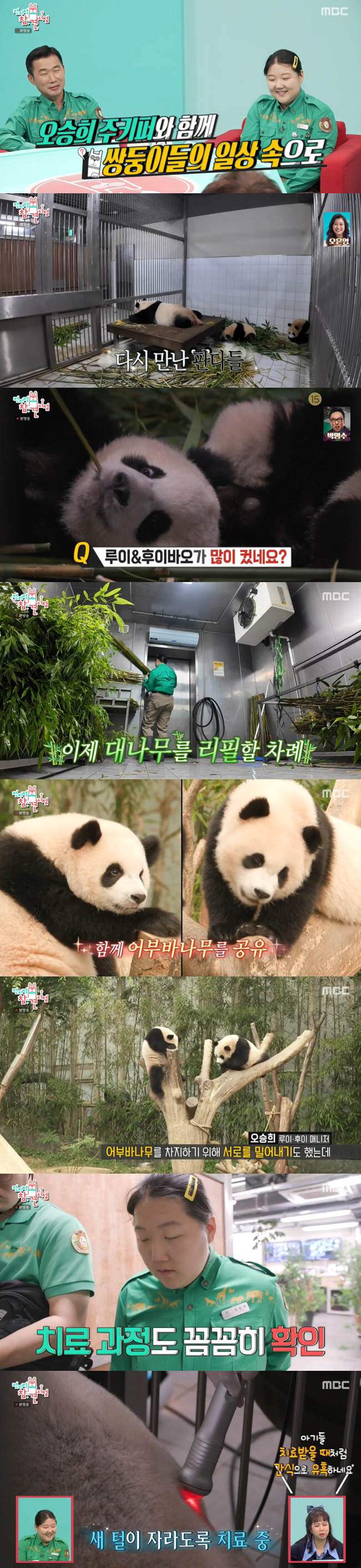 Fu Bao X Steel Garden Zoo Zookeeper Reunited 'Seo Superstar...'Encouraging him that he's doing well' ('Omniscient Interfering View') 