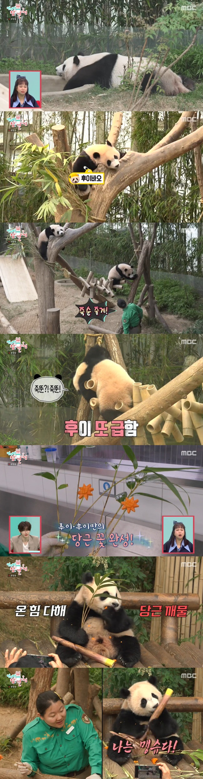 Fu Bao X Steel Garden Zoo Zookeeper Reunited 'Seo Superstar...'Encouraging him that he's doing well' ('Omniscient Interfering View') 