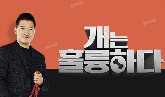 'Gabjil Controversy'Kang Hyungwook tried to come back, but there's no 'Dog Excellent' in the end. Tentatively abolished