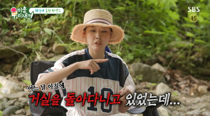 'Three teams a day without permission' Han Hye-jin, the reason why she fenced Hongcheon house (Mi Woo-sae) 
