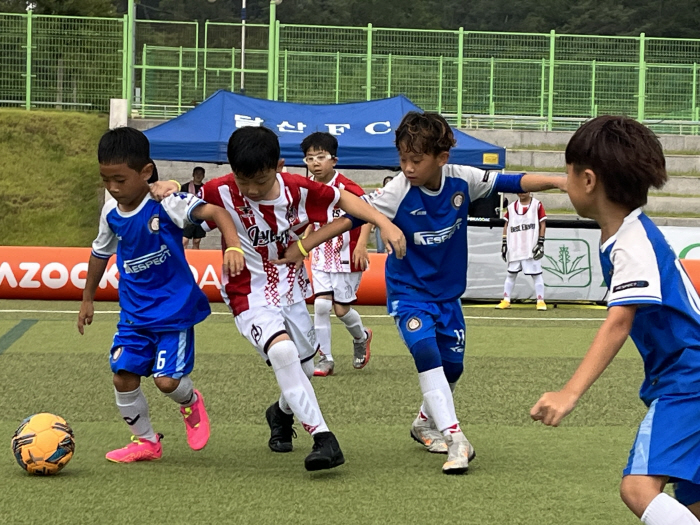 Best Eleven will be held from the 26th to the 29th 'Yeongdeok Football Festa Summer League'