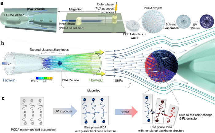 Stroke-Inducing Vascular Stenosis, Real-Time Monitoring 'Fluorescence Sensor' Development