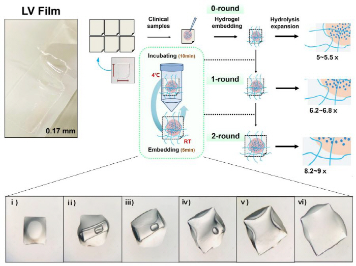 Prediction of disease by blood'LV film'Development'Liquid biopsy'Technical Commercialization Advancement'