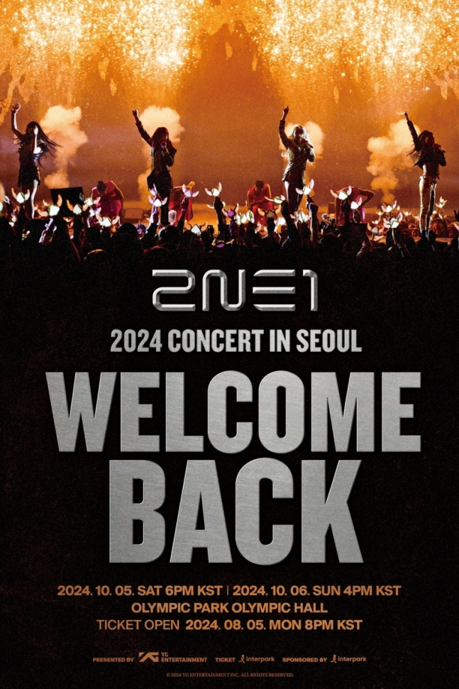 Sandara Park '2NE1 as a whole..Ten years have been difficult' 