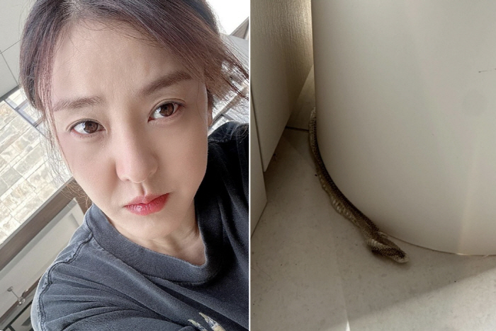 Park Eun-hye at home 'Snake Appearance'Amazed '119 Report, Goosebumps'