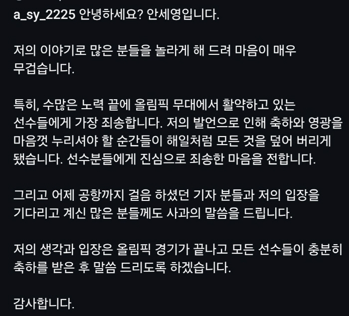 Ahn Se-young's second SNS statement 'Cover everything like a tsunami of my remarks...'I'm sorry to the Olympic athletes.'