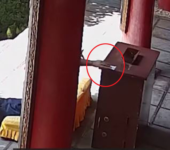 A prestigious university student in China who stole money by changing the QR code of the donation box'It's a waste of good hair'