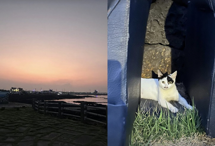 Lee Sang-soon ♥' Lee Hyo-ri, '6 billion Pyeongchang-dong house' When did you move..Painting Work in Jeju