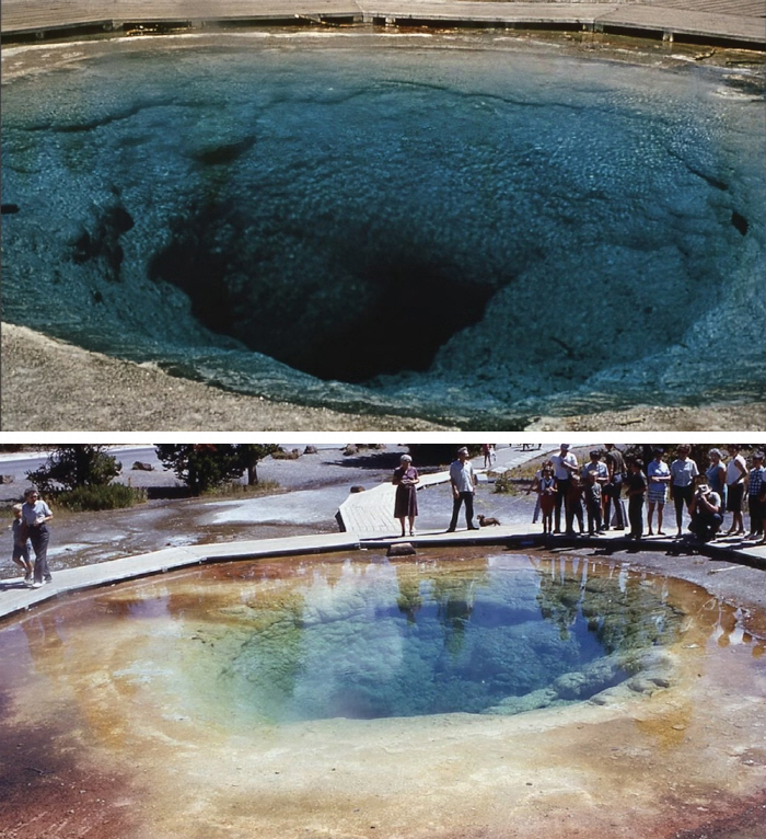 Yellowstone National Park's Hot Spring Water Color Change'Because of Human Greed'