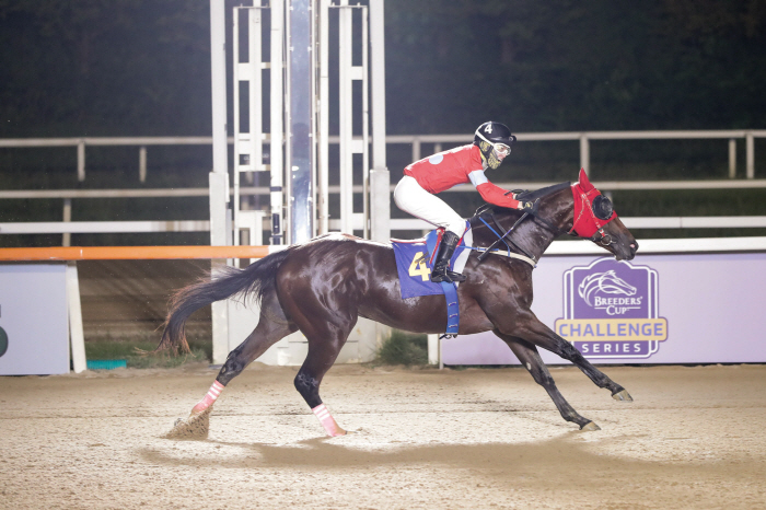 'Running to the Rookie of the Year!' Second gateway to the Juvenile series, the 20th opening of the National Agricultural Cooperative Federation (L)