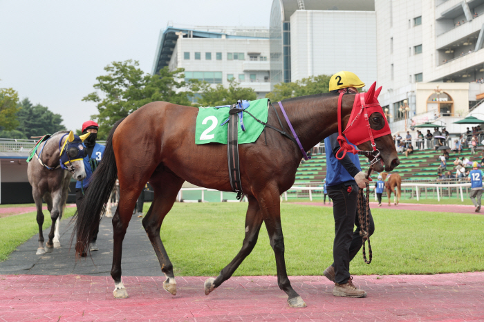 'Running to the Rookie of the Year!' Second gateway to the Juvenile series, the 20th opening of the National Agricultural Cooperative Federation (L)