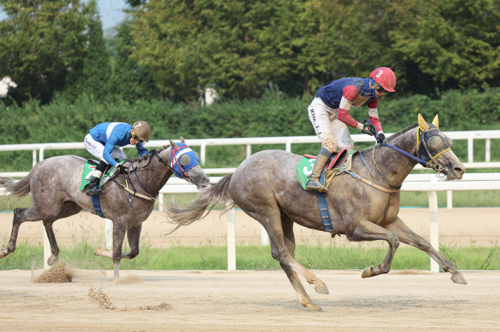 'Running to the Rookie of the Year!' Second gateway to the Juvenile series, the 20th opening of the National Agricultural Cooperative Federation (L)