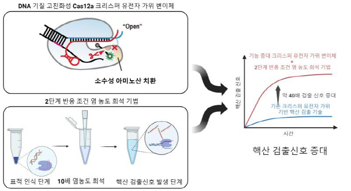 Development of ultra-sensitivity diagnostic technology based on genetic scissors opens the way for rapid response to infectious diseases