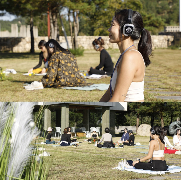 Meditation in nature 'Wake-up Retreat', 'Great Response'