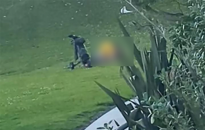 A couple having sex on the lawn of a golf course 'Shock'It won't be a couple'