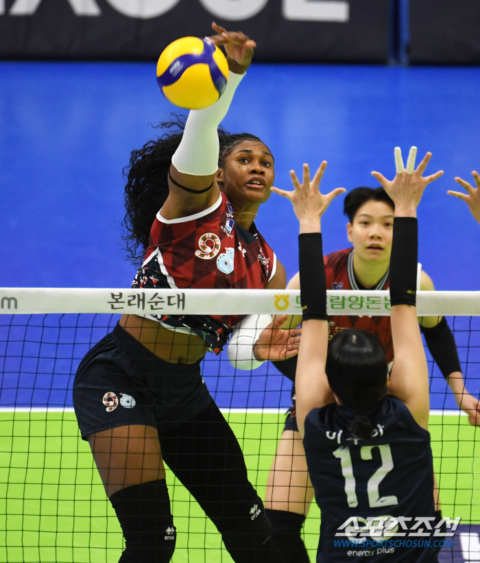'It's not enough for domestic players alone.' MOMA and Wipawi scored 30 points, and Hyundai Engineering & Construction won 3-0 against GS Caltex without foreigners and aquor. Heungkuk Life Pursues Again