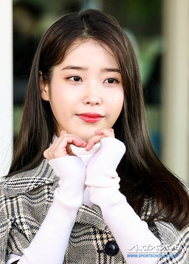 IU's Hater Fined 3 Million Won for Defamatory Comments