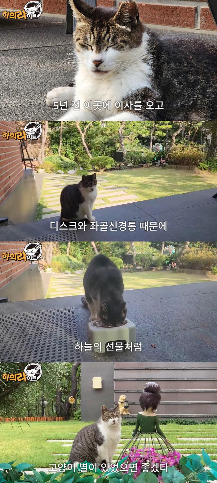 ''Choi Su-jong ♥' Ha Hee-ra said the sad news 'I can't believe this. Let's see each other again '