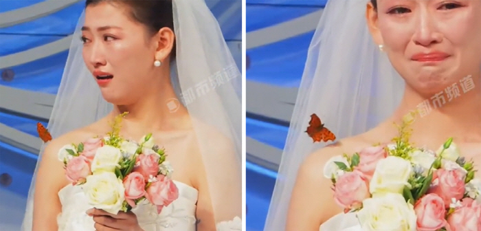 A butterfly sitting on the bride's shoulder'Dad is here'A sea of tears