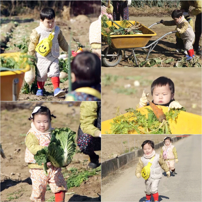 Kim Jun-ho, Eun-woo, you are different because you are a child of national universities...I pulled out a garden bigger than my face (Sudol)