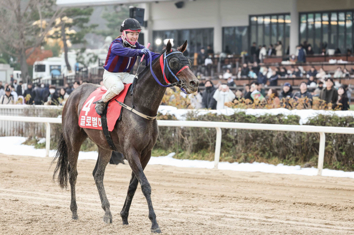  Oh, my! 2024! Top 10 Korean Horse Racing News