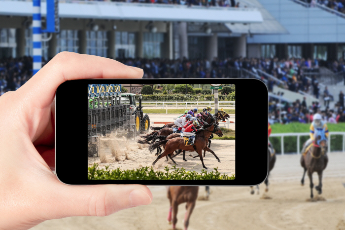  Oh, my! 2024! Top 10 Korean Horse Racing News