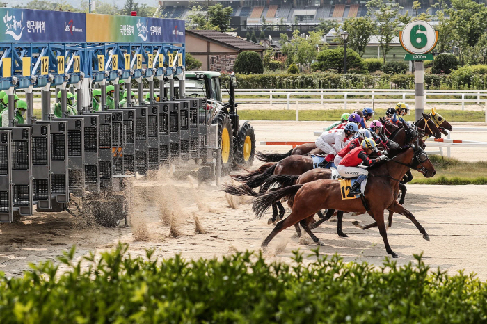  Horse racing society announces 2025 horse racing implementation plan