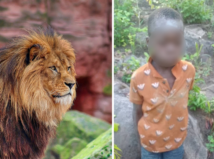 Boy, 8, rescued in 6 days in the wild full of lions...That's a great survival skill