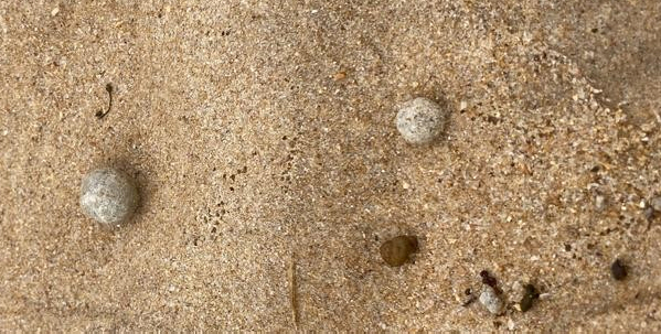 Unidentified bead-shaped foreign object found on an Australian beach...Nine beaches closed