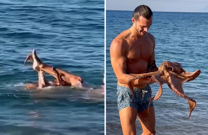 He wriggled under the water, and then he was knocked out by the model's presence