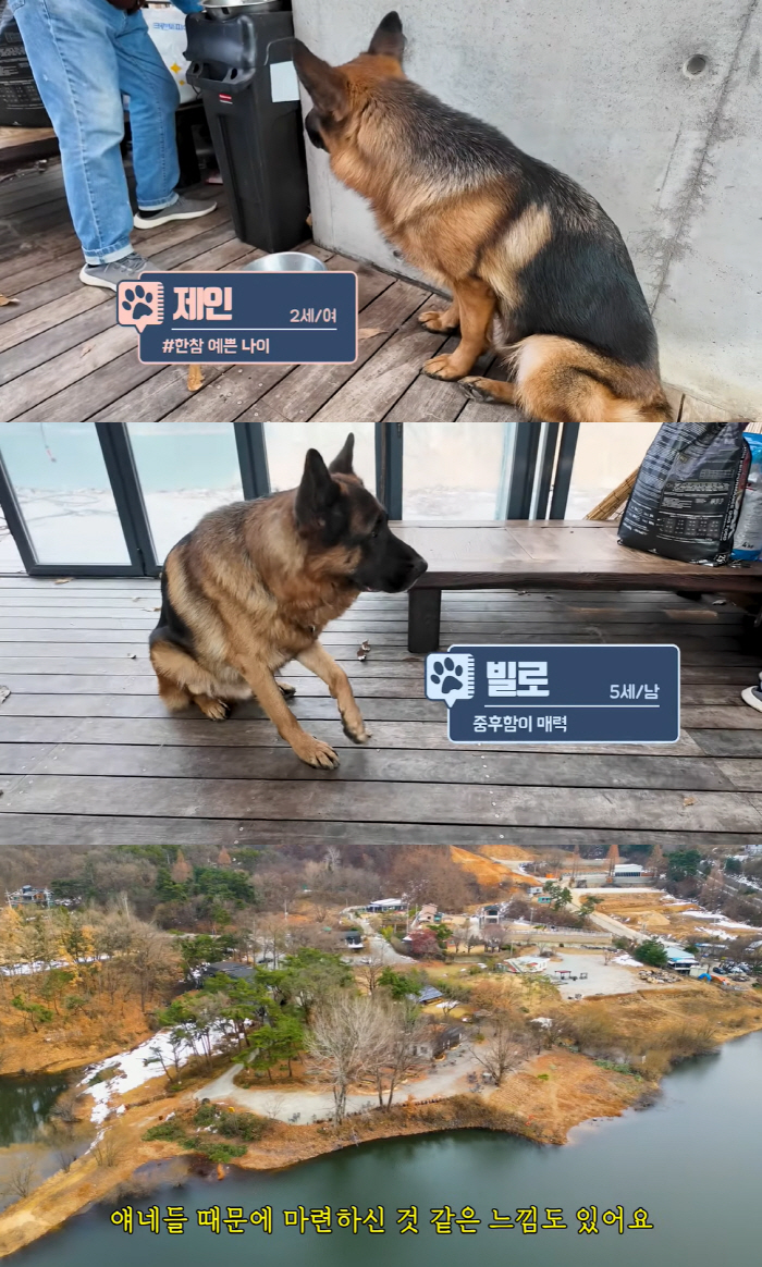 'More than 400 million won' Roh Joo-hyun reveals his all-time expensive dog →'Many people believe that he died after being blocked by dog hair' 