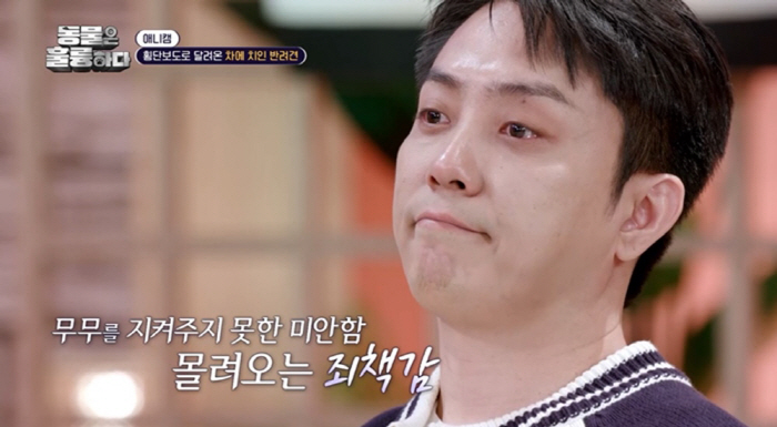 Jang Do-yeon, Eun Ji-won also shed tears at the shocking video of the dog accident during the recording (Dong Brilliant)