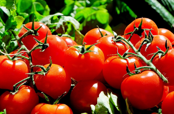 Eating tomatoes, watermelons, and carrots frequently helps relieve depression