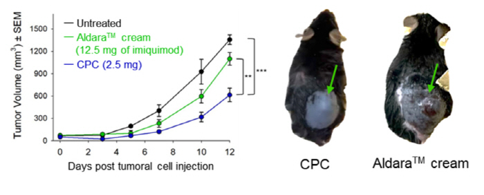 Anti-cancer protein developed melanoma treatment applied to skin...There are no side effects such as psoriasis