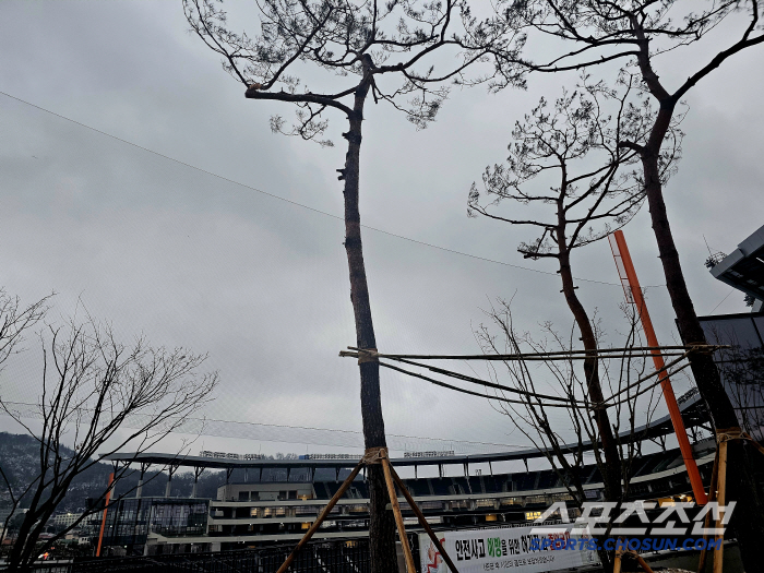 After a home run batting accident and worrying about free spectators, Daejeon Hanwha Life Ball Park will build additional outfield on the left side in question