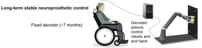 Robot arm moved by imagination... Research team quadriplegic successfully worked for 7 months