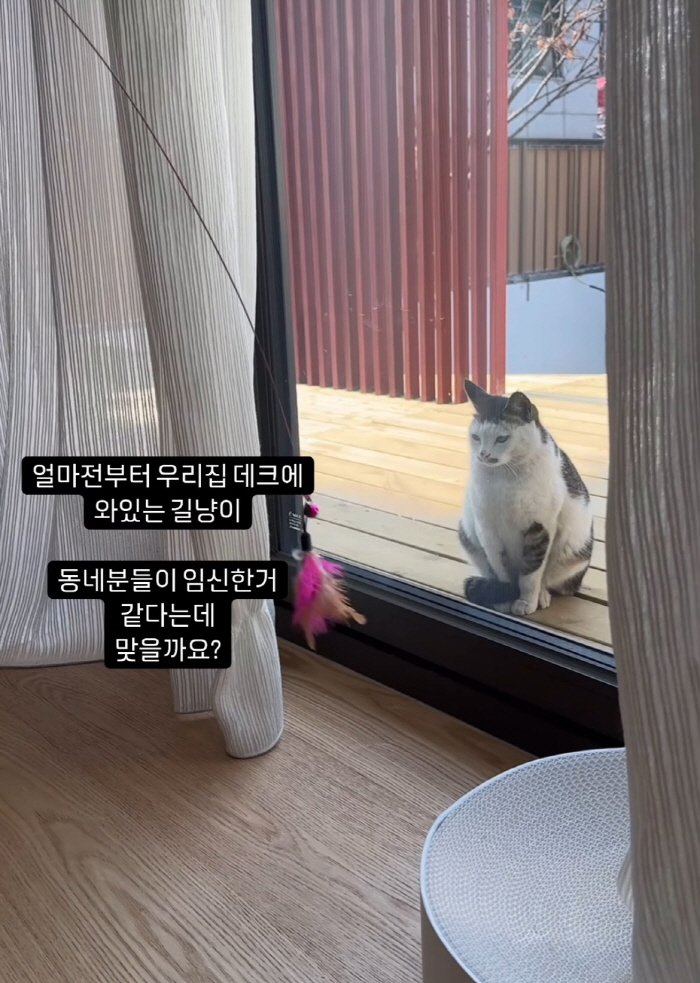 '4 years younger ♥' Seo Dong-ju said, 'I think I'm pregnant.' I was surprised by the surprise news..It turns out that it's about cats