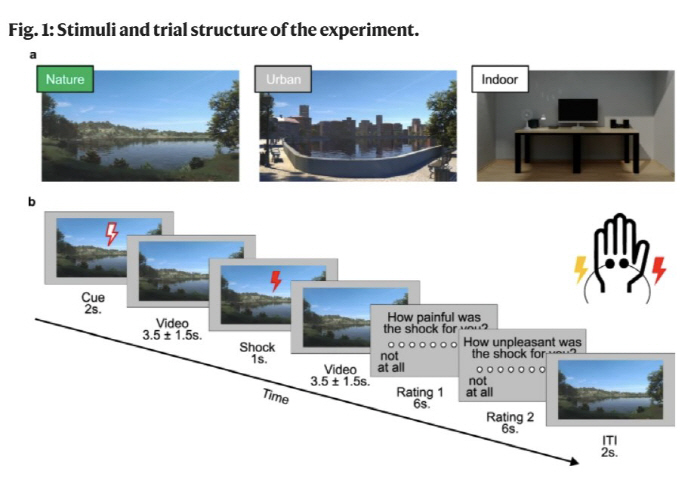 Natural scenery acts as a painkiller...Virtual reality exposure can also be used to relieve pain