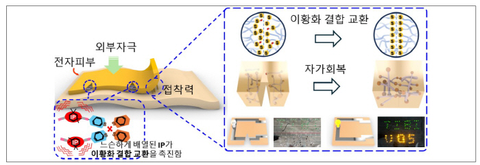 Korean researchers develop electronic skin that recovers within 10 seconds even if it is torn