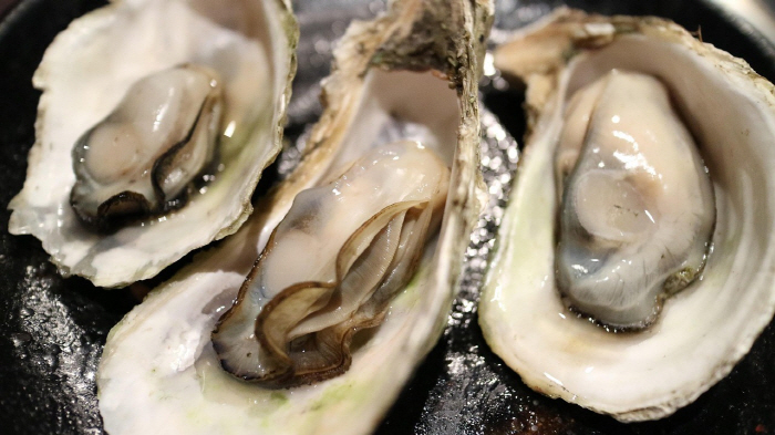 Korea's Export Frozen Oyster Decides to Stop and Recall Sales...possibility of norovirus contamination