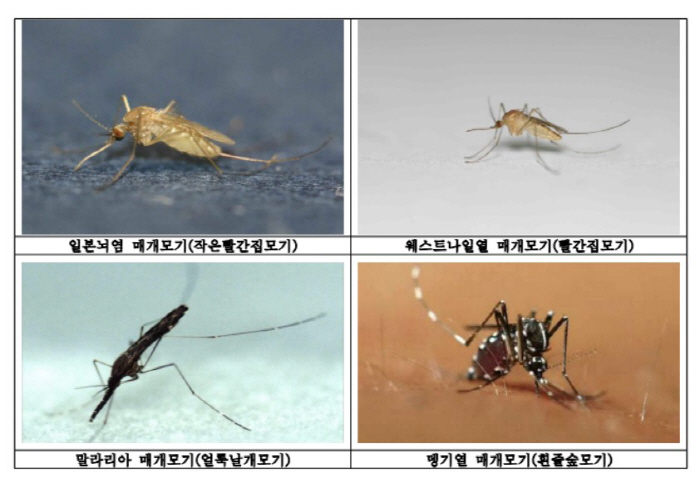 No, already?Mosquito surveillance will begin at the end of this month