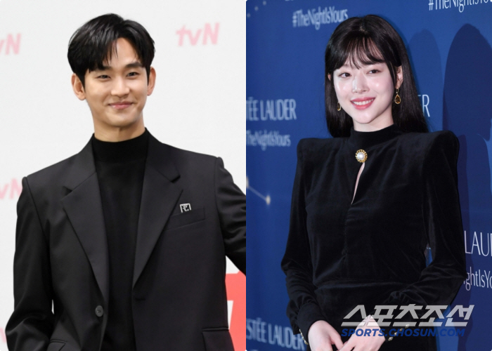 There was no evidence that Sulli's brother, Kim Soo-hyun, IU only had provocative revelations