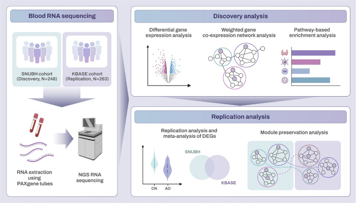 A Simple Blood Test Suggests Early Diagnosis Of Alzheimer's Disease