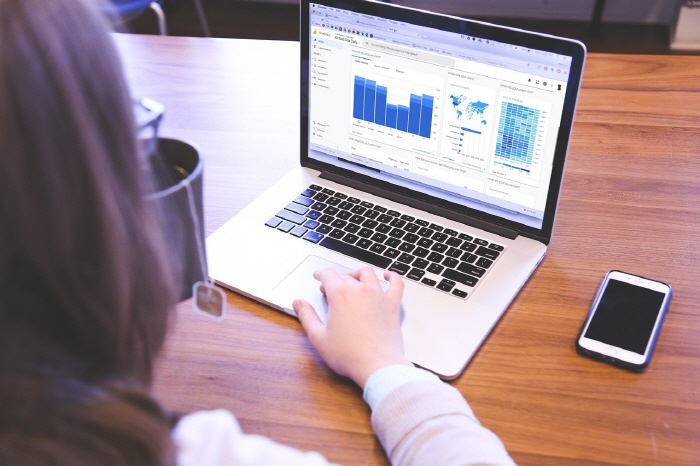 Development of a Digital Sensitivity Scale for Assessing Adaptability to Mental Health Care