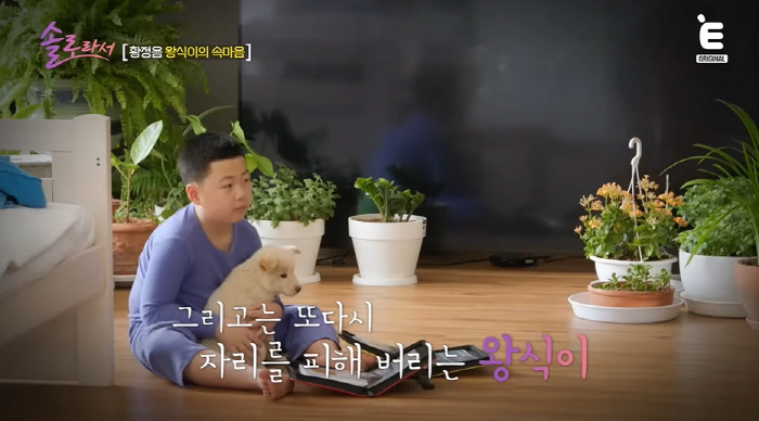 Hwang Jung-eum, the oldest's sad brother hits a lot..When I try to hit her, she blocks me (because I'm solo)