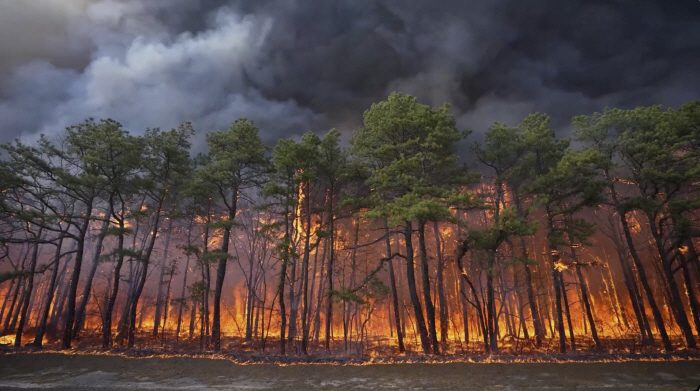 The higher the concentration of ultrafine dust in forest fire smoke, the higher the hospitalization of respiratory diseases among the elderly